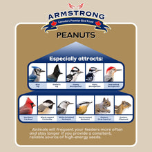 Load image into Gallery viewer, Armstrong Peanut Halves 2kg