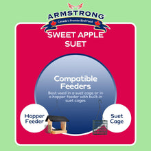 Load image into Gallery viewer, Armstrong Sweet Apple Suet 320g (301-220)