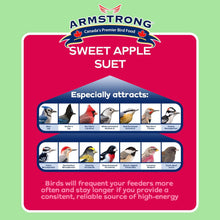 Load image into Gallery viewer, Armstrong Sweet Apple Suet 320g (301-220)
