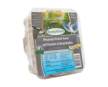 Load image into Gallery viewer, Morning Melodies Suet Variety 3 Pack 3x300g