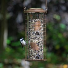 Load image into Gallery viewer, Brass Squirrel Stumper (700-114)