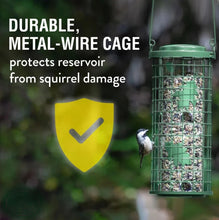 Load image into Gallery viewer, Brass Squirrel Stumper (700-114)