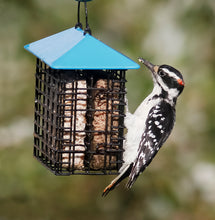 Load image into Gallery viewer, More Birds Double Suet Feeder With Weather Guard (738-250)