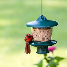 Load image into Gallery viewer, Perky-Pet Height Adjustable Bird Feeder # 105-3