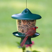 Load image into Gallery viewer, Perky-Pet Height Adjustable Bird Feeder # 105-3