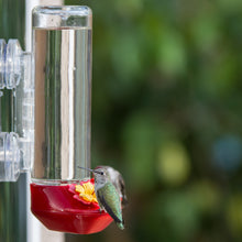 Load image into Gallery viewer, Perky-Pet Window Mounted 14 oz Glass Hummingbird Feeder #455-2