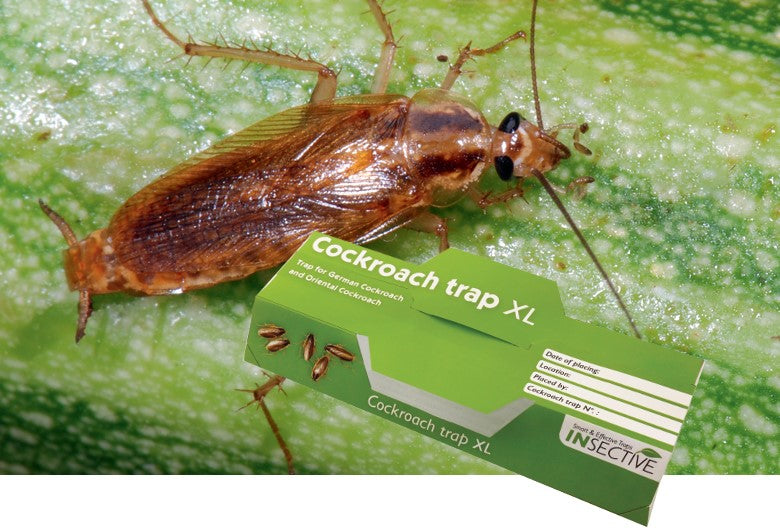 INSECTIVE COCKROACH TRAP XL-TABLET 4PK – Clean Home Supplies