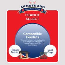 Load image into Gallery viewer, Armstrong Peanut Select Suet 320g
