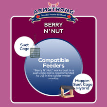 Load image into Gallery viewer, Armstrong Berry N’ Nut Suet 320g
