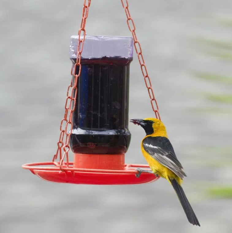 Perky-Pet Oriole Jelly Wild Bird Feeder # 253