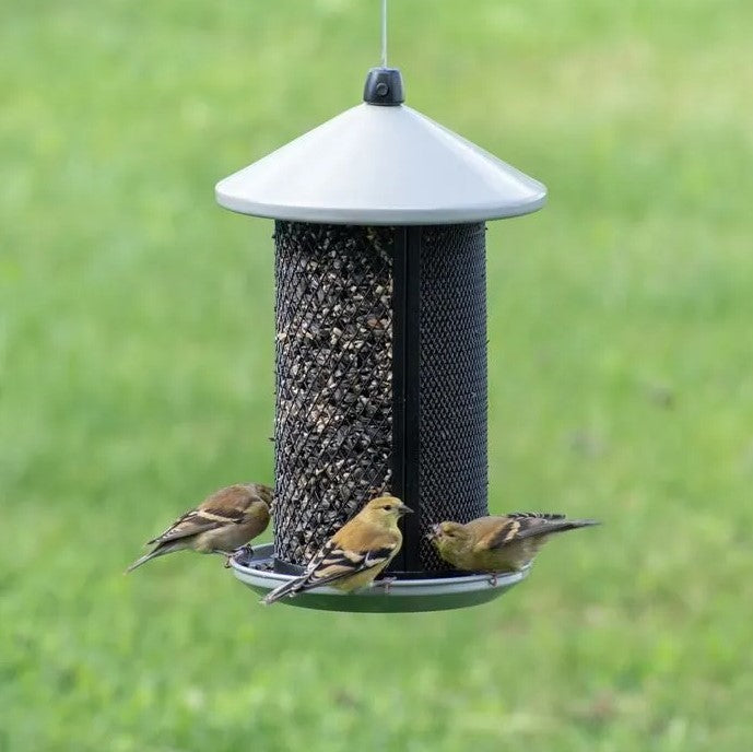 Perky Pet Dual Mesh Wild Bird Feeder # TSS00349