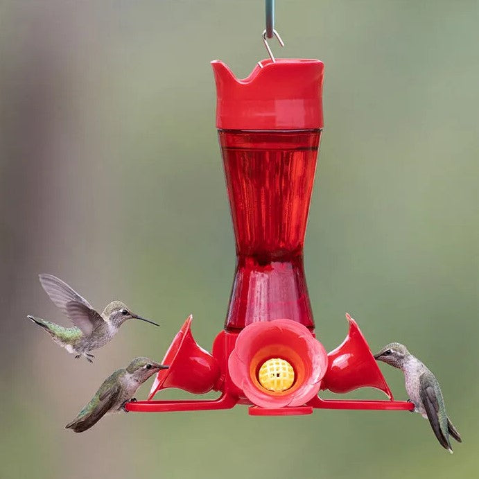 Perky-Pet Pinch-Waist Red Glass Hummingbird Feeder - 8 oz. # 203CPBR