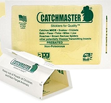 CHS CatchMaster 72 Max perforated Folding Glue Boards Individual, best adhesive available 32 square inch catch surface