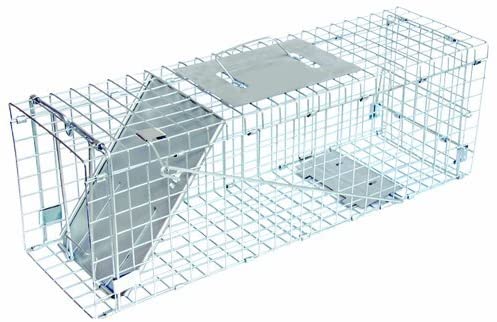 CHS JT Eaton Answer 465N folding live cage trap for squirrels, rabbits and other small rodents