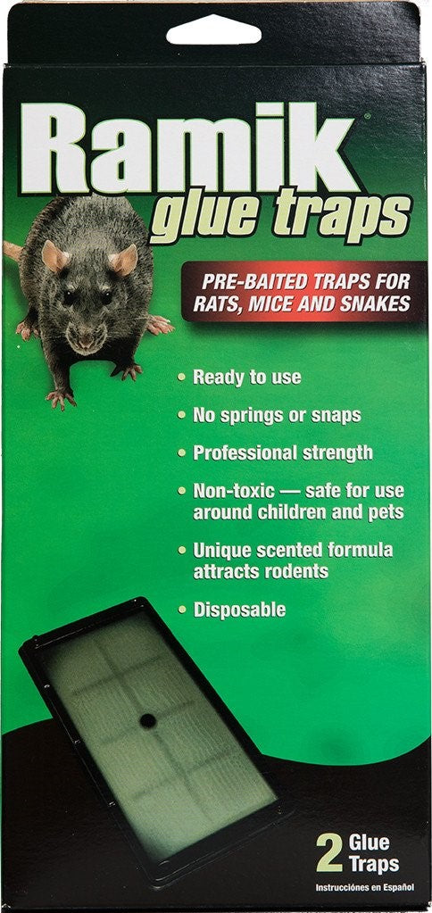 CHS Ramik Rat Glue Trap Tray 2/pk non-toxic, disposable, and ready-to-use traps without poisons traps have a peanut scent that attracts rodents