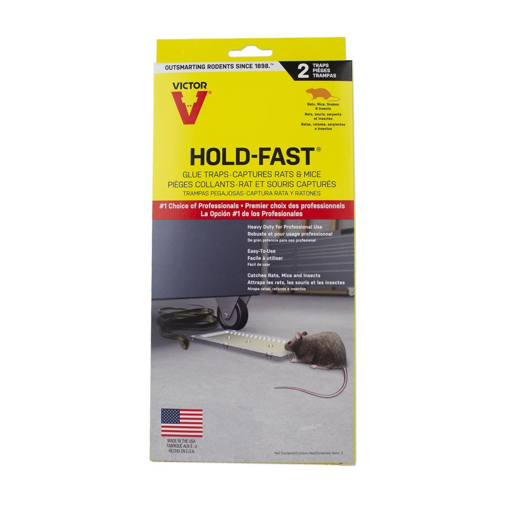 CHS Victor® Hold-Fast Rat & Mouse Glue Tray 2pk Victor Proprietary glue formula Long-lasting glue tray traps mice and crawling insects, and holds them securely No setting or baiting required – just place and catch! Disposable Made in the U.S.A