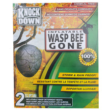 Load image into Gallery viewer, CHS Wasp Bee Gone – Artificial Wasp Nest 2 pack
