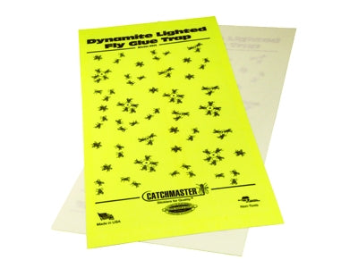 Catchmaster Flylight JR 911 Glueboards 25/PK # 925 - Clean Home Supplies