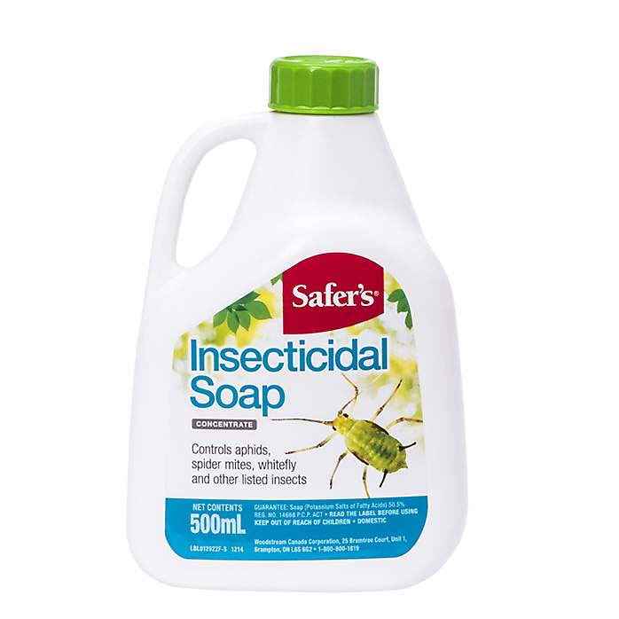CHS Safer's Insecticidal Soap Concentrate 500ml will kill aphids, spider mites and other pest insects but does not kill beneficial insects such as ladybugs, praying mantis and others when used as directed