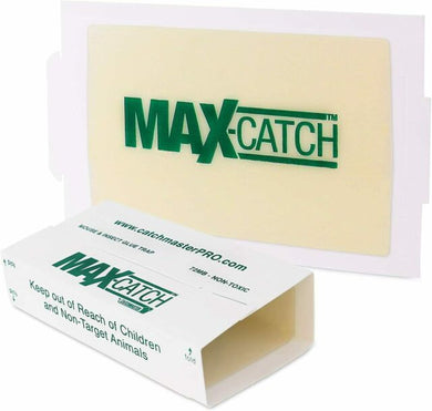 CHS Catchmaster 72MB max-catch unscented mouse glue boards trap for mice and other small rodents