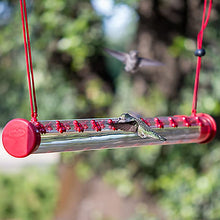 Load image into Gallery viewer, Perky Pet HUMBAR200 Hummingbird Feeder, 22-Ports, 24 in
