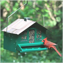 Load image into Gallery viewer, CHS Woodstream Perky Pet SQUIRREL-BE-GONE Home Style Feeder 339 Green Weight-activated seed protection covers ports under a squirrel’s weight Tough all-metal construction with removable roof for easy filling Can be hung or pole mounted for ideal placement Holds up to 8 lbs of seed
