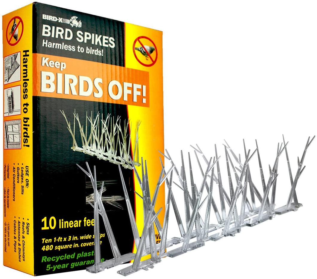CHS Bird X Plastic Bird Spikes 10 feet permanent solution stops pest birds from landing on surfaces
