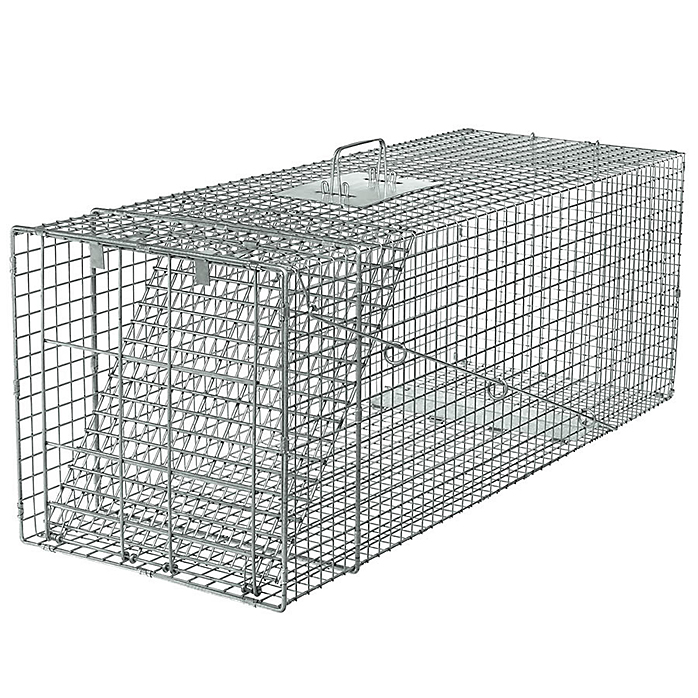 CHS Havahart Large Raccoon Trap1 Spring Loaded Door (1081) best used for armadillos, beavers, bobcats, cats, dogs, foxes, groundhogs, opossums, and raccoons. extra strength door and Handle guard for user protection when animal is inside trap