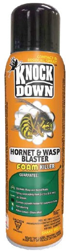 CHS KD Knock Down Hornet & Wasp Foam Killer 400g shake well before use, used for control of exposed nests of wasps, yellow jackets, and hornets
