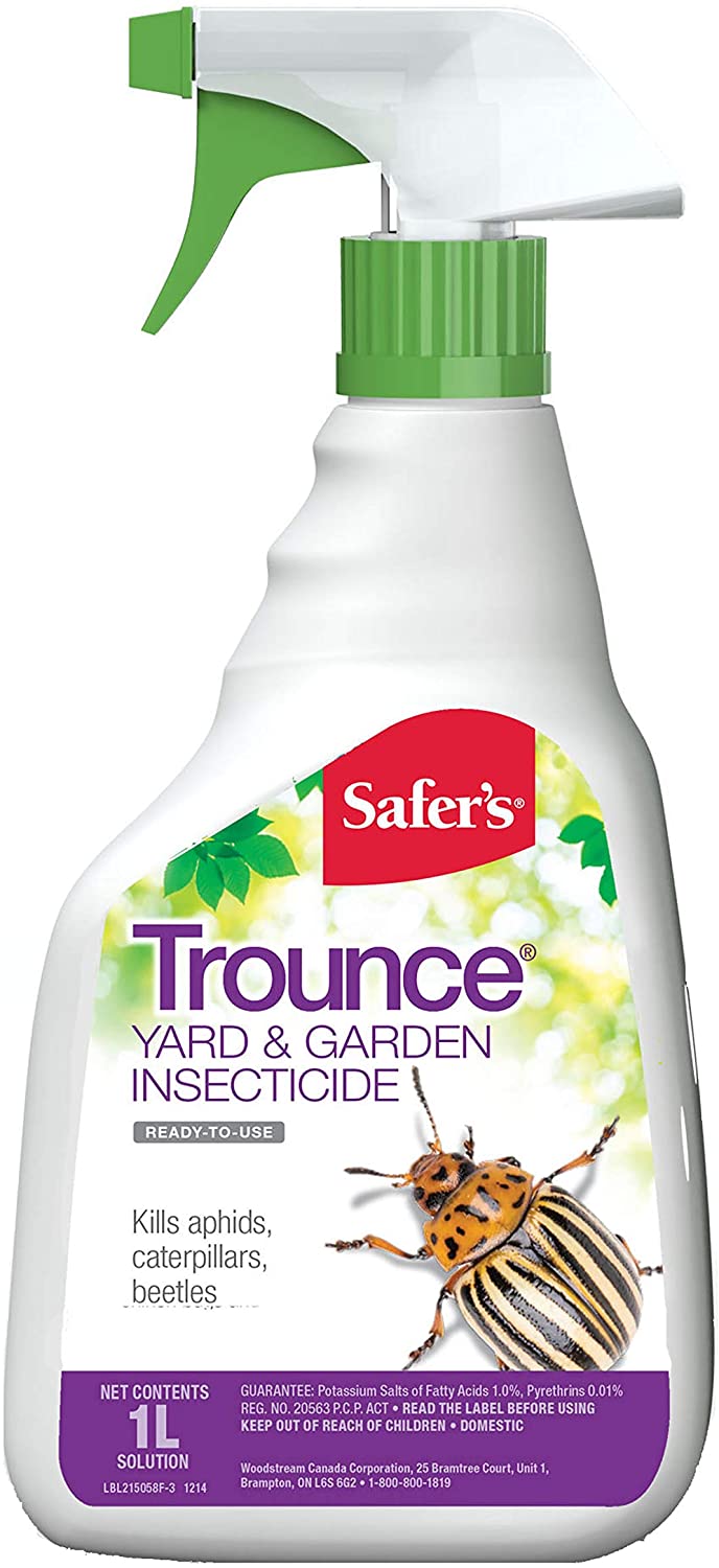 CHS Safer's Trounce Yard & Garden Insecticide 1L ready to use spray bottle, Controls aphids, whitefly, scale, spider mites and mealybugs Active Ingredients: potassium salts of fatty acids 1%, pyrethrins 0.01%