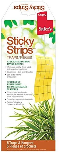 CHS Safer's Sticky Strips Insect Trap (5 pack) attracts fungus gnats and many other flying insects with its bright colour, prevents infestation