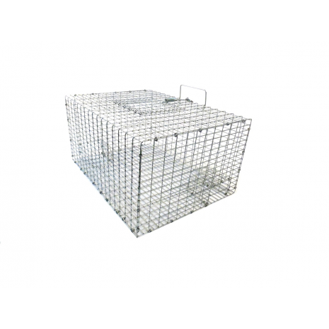 CHS Tomahawk Sparrow Trap SP2 two repeating trap doors and an access door for baiting and bird removal